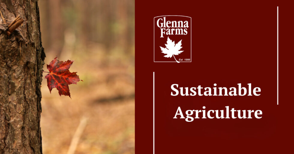 Sustainable Agriculture - Glenna Farms Blog
