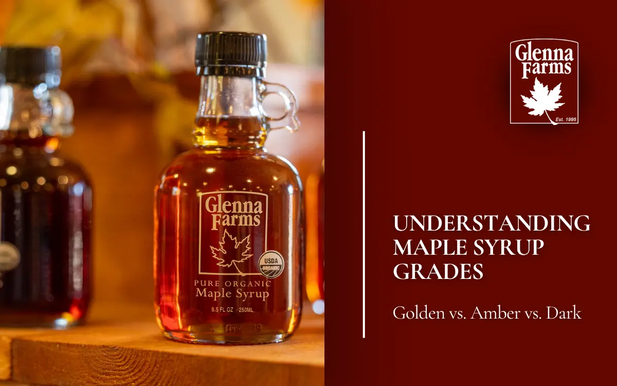 Understanding Maple Syrup Grades: Golden vs. Amber vs. Dark