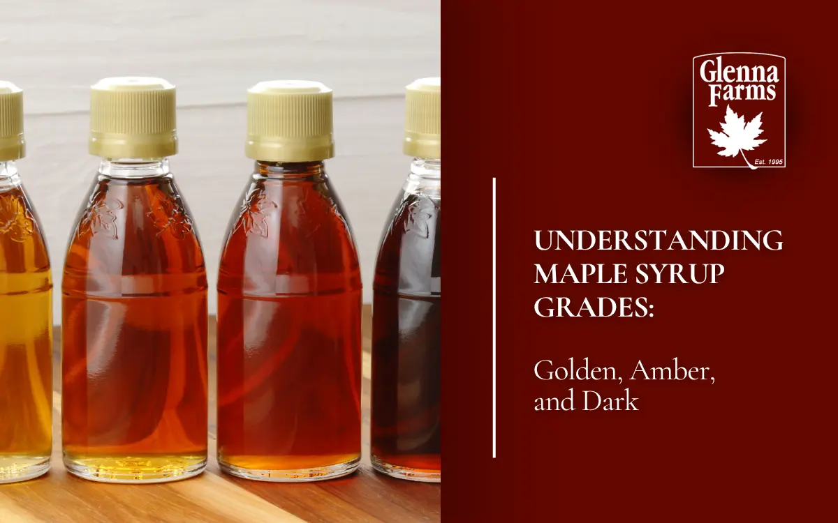 Understanding Maple Syrup Grades: Golden, Amber, and Dark